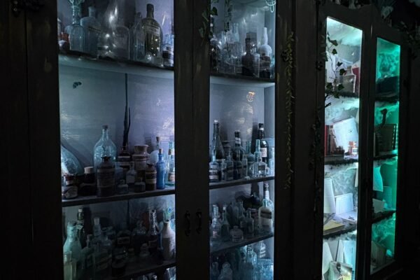 WhatsApp Image 2025-10-07 at 15.19.30