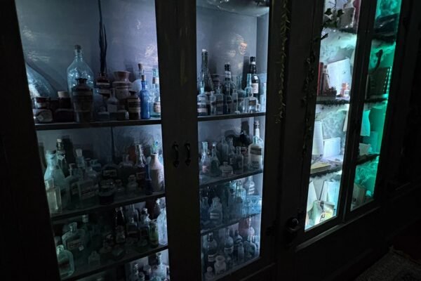 WhatsApp Image 2025-10-07 at 15.19.31 (1)