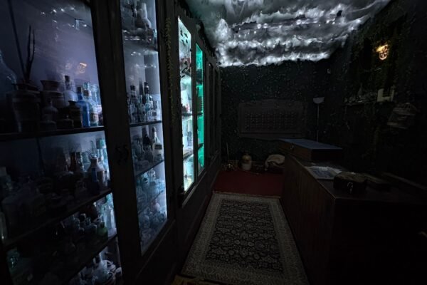 WhatsApp Image 2025-10-07 at 15.19.31