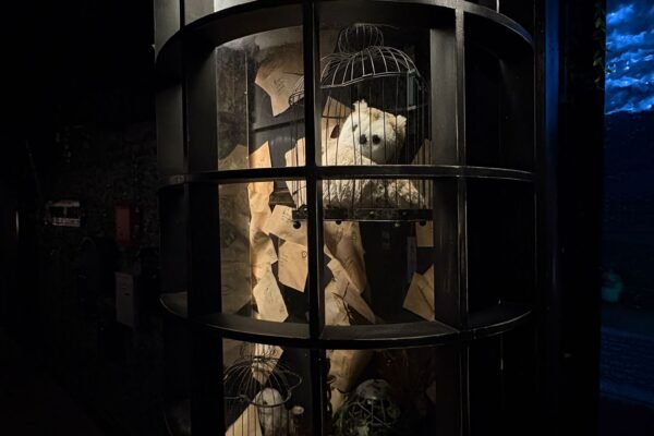 WhatsApp Image 2025-10-07 at 15.19.32