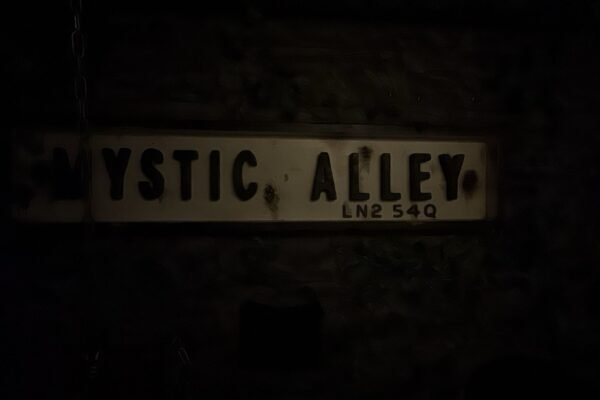 WhatsApp Image 2025-10-07 at 15.19.33